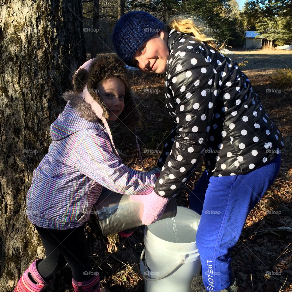 Family tradition maple syrup making 
