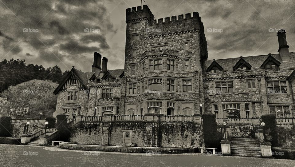 Black and white castle