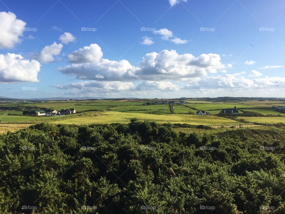 Landscape, Agriculture, No Person, Cropland, Nature