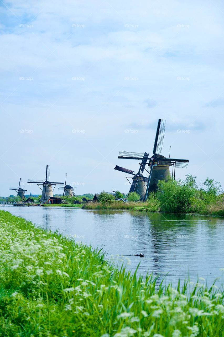 A row of windmills 