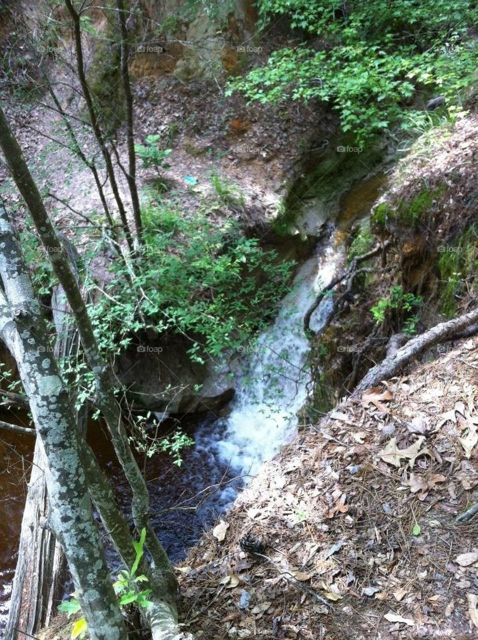 Waterfall at Hollylake ranch