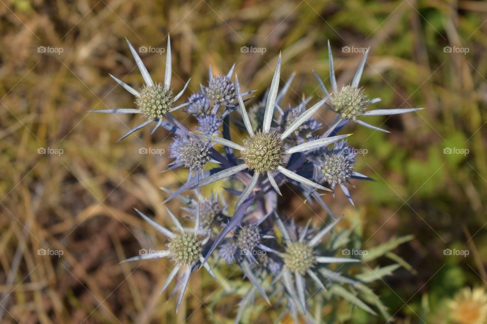 In the middle of nowhere