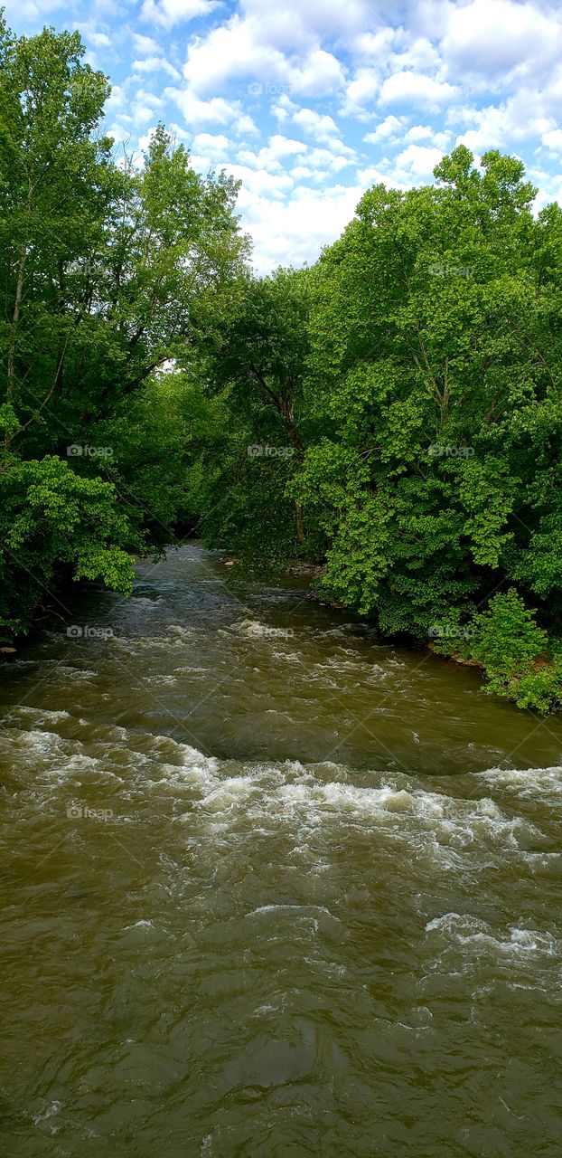 rapids on antietam creek
