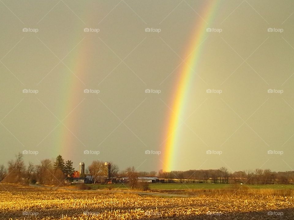 double rainbow