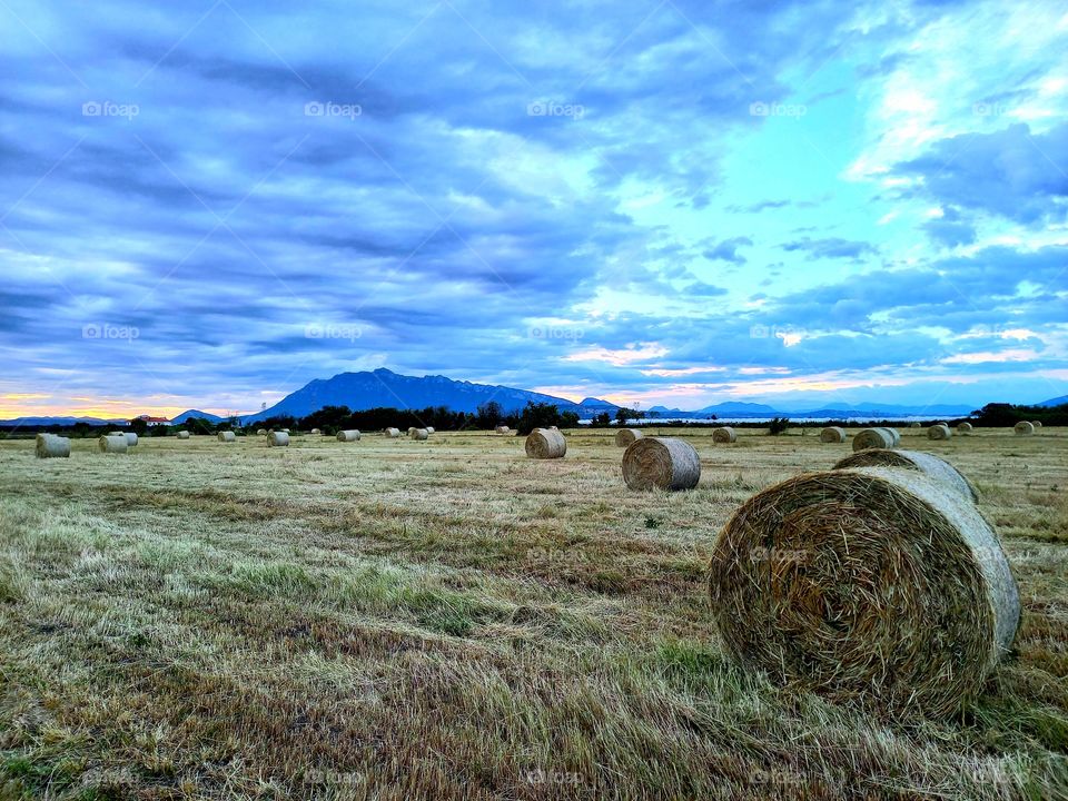 country side morning