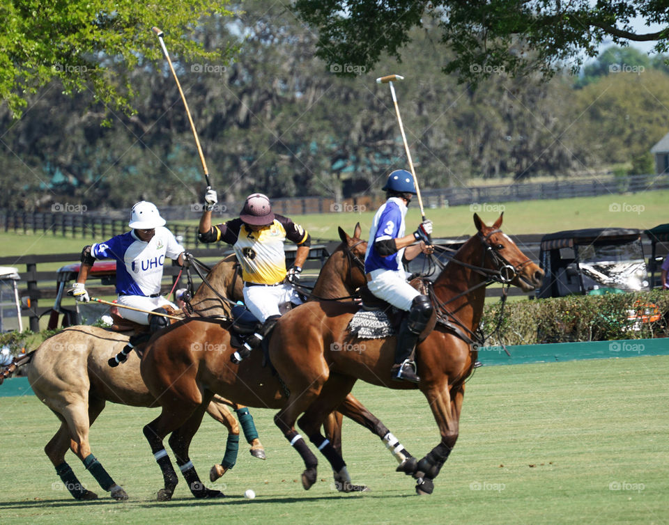 Polo three riders and a polo ball