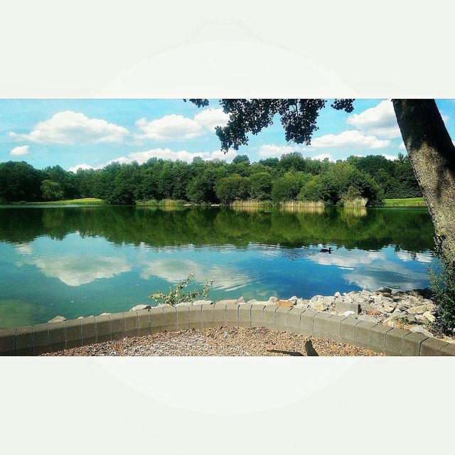 Silvermere Bliss