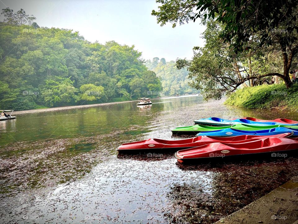 The glory of pookod lake Kerala, India, the lake takes on the exact shape of the continent of India.There are only a few lakes like this one in Kerala, a perennial freshwater lake tucked away among forested hills.The lake has abundance of blue lotus.