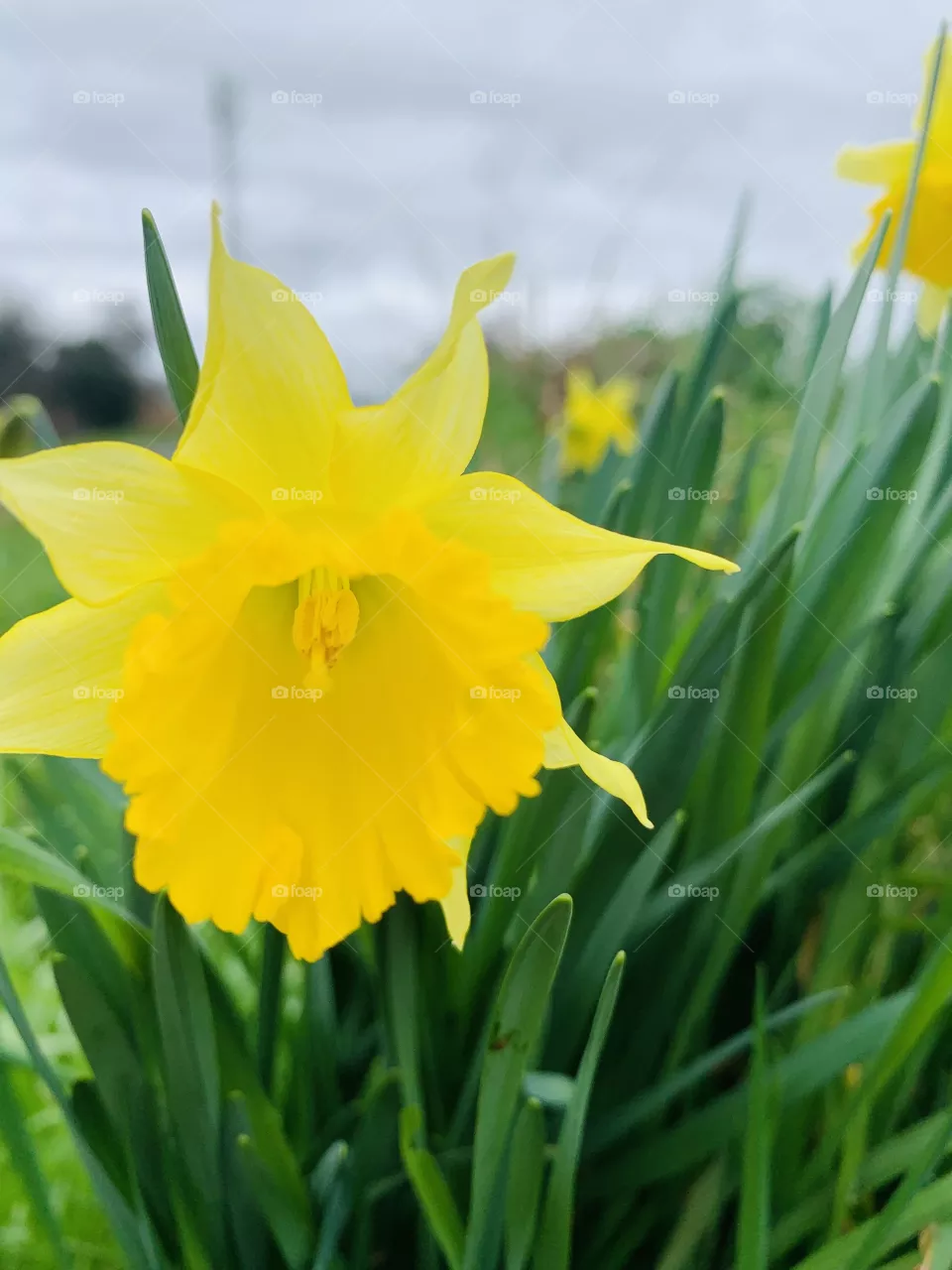 Spring is coming 