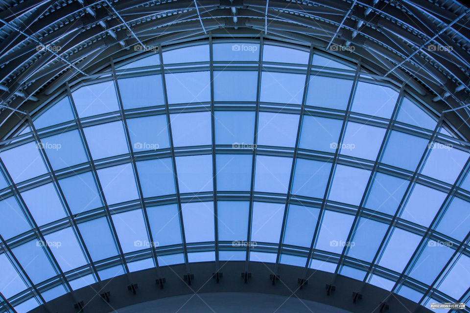 Skylight Windows