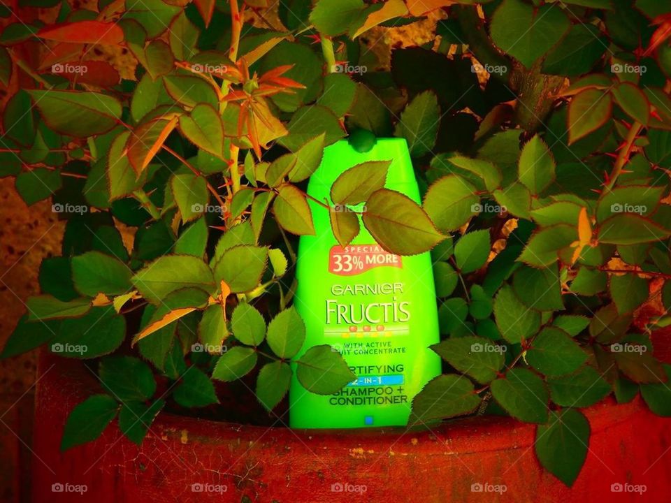 Garnier Fructis