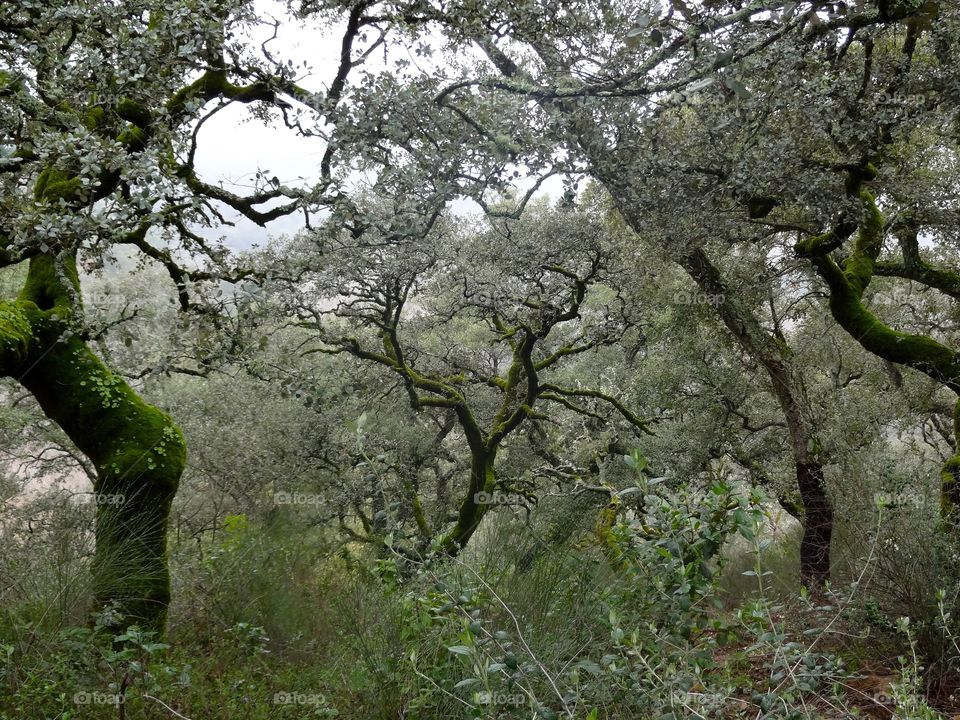 Hiking outside Sevilla, Spain