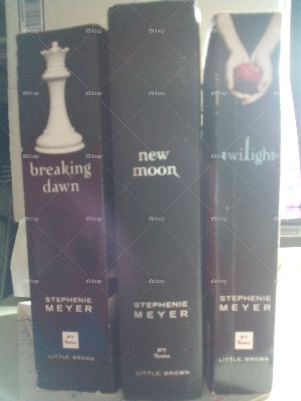 Twighlight books