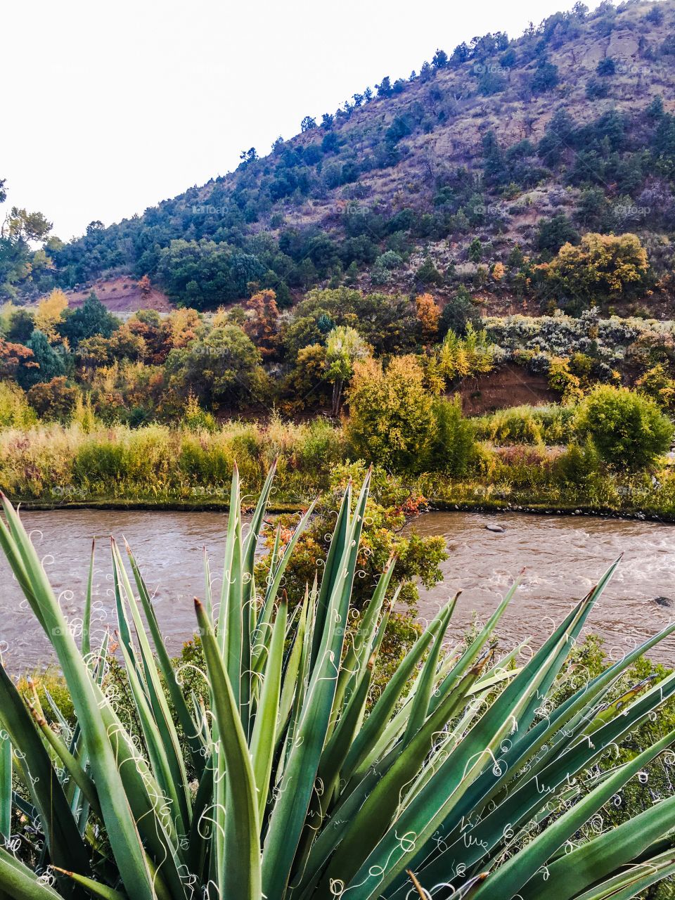 Autumn River