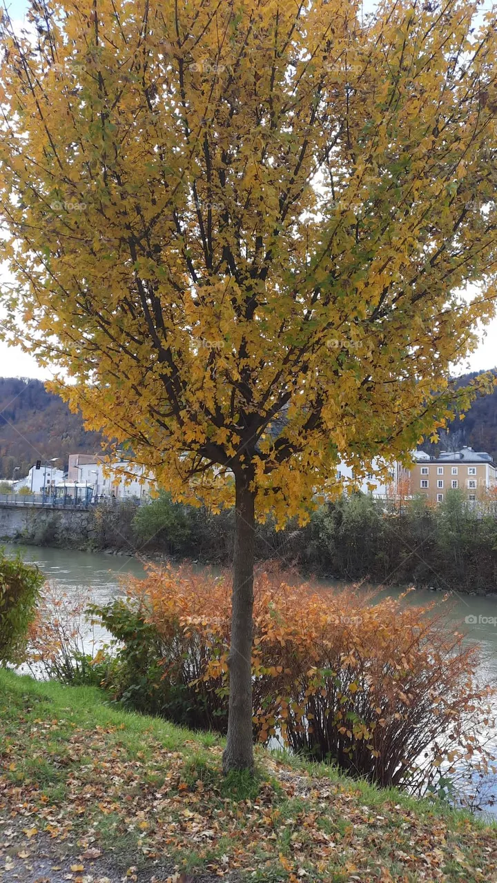 Natur 