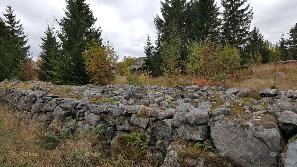 stone wall