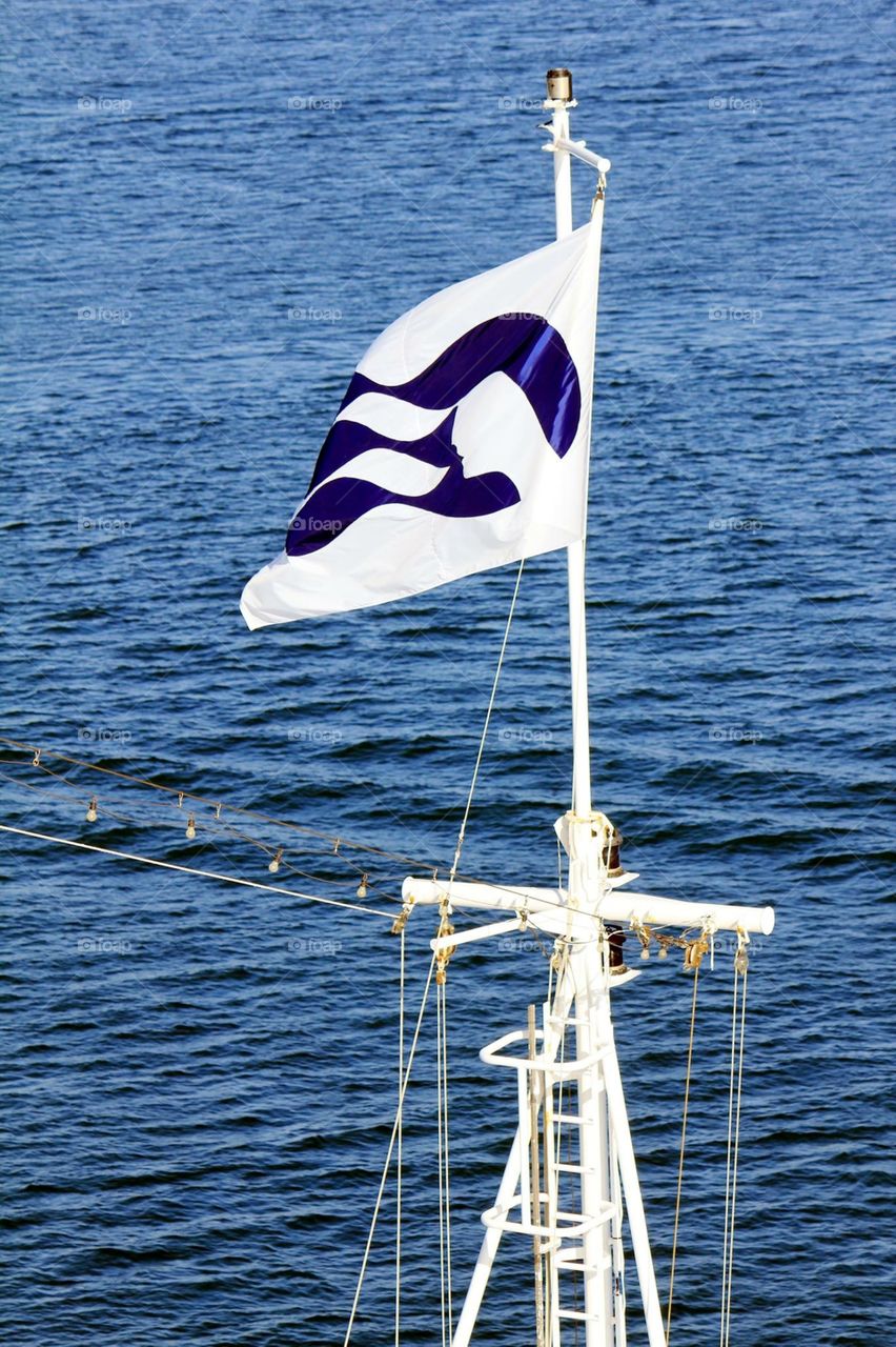 Our cruise ship flag. 