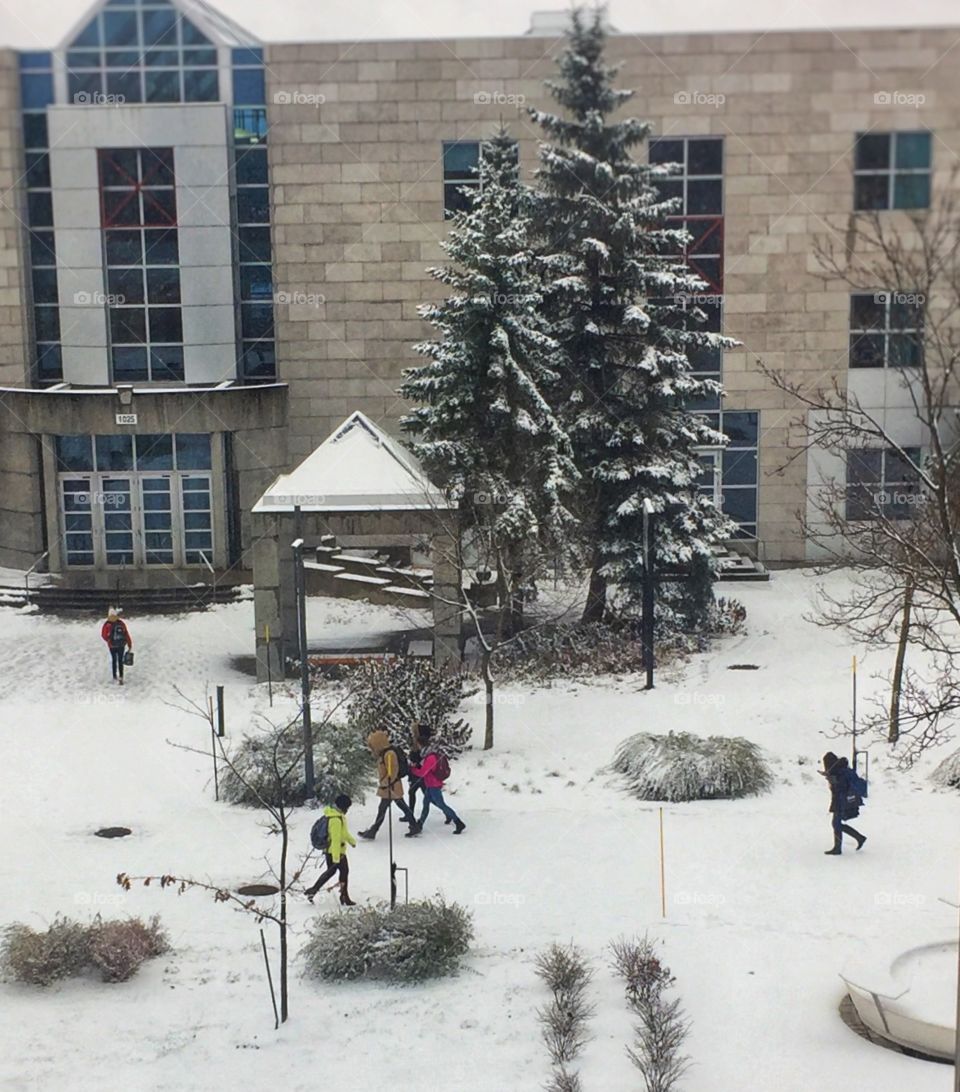 University in winter time 