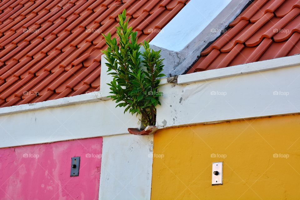 Colorful houses in the Caribbean