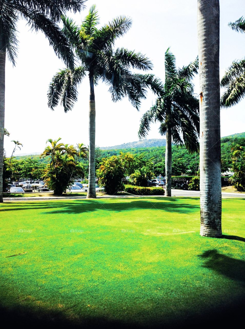 Golf course Jamaica