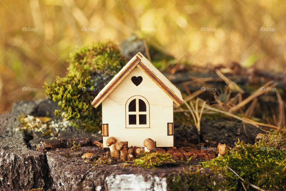 figurine log cabin on me with mushrooms in autumn forest