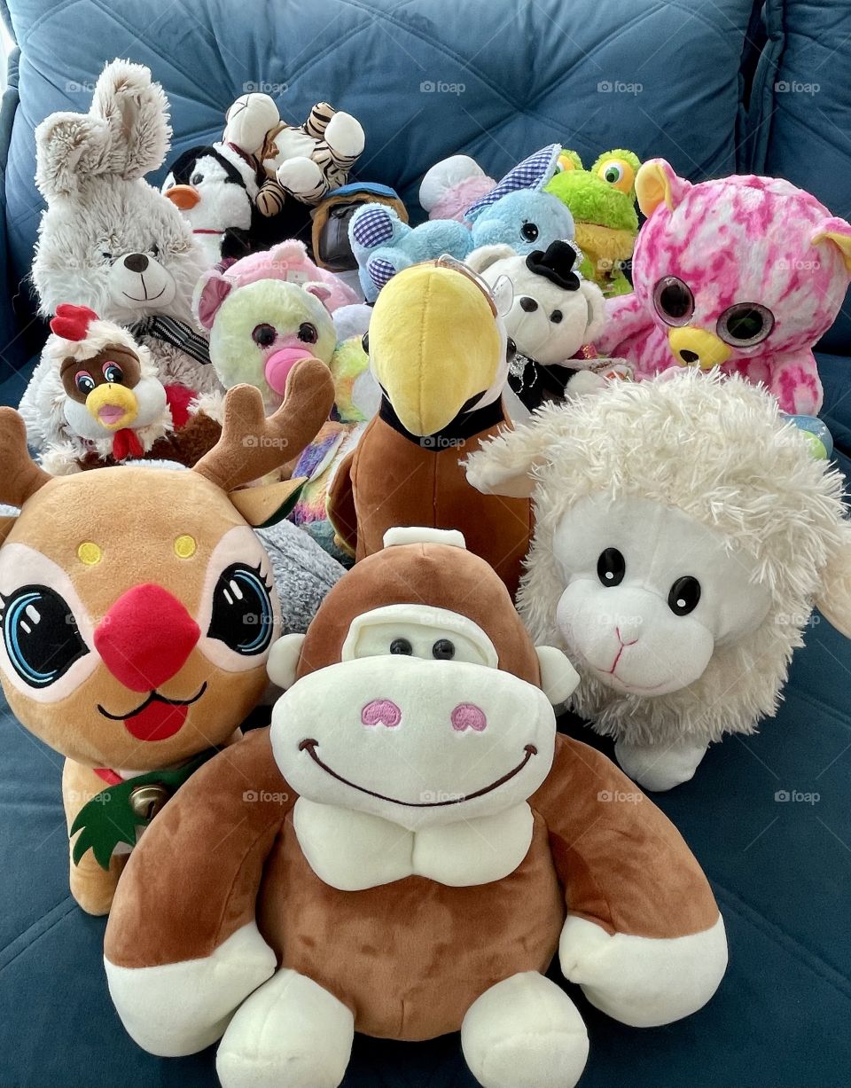 Smiling stuffed animals for photography