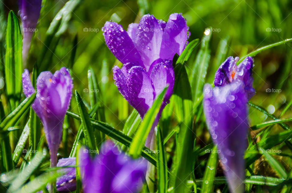 Macro shots!