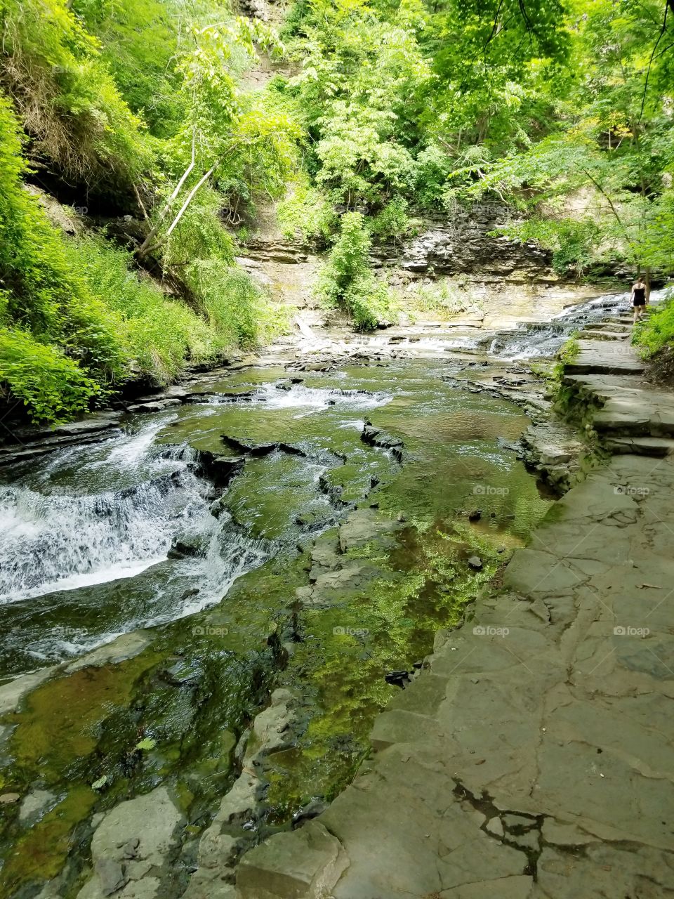 Reflecting on Reflections