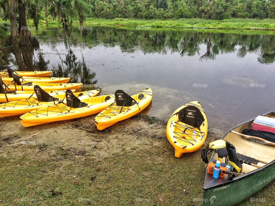 Kayaking on the Wekiva River