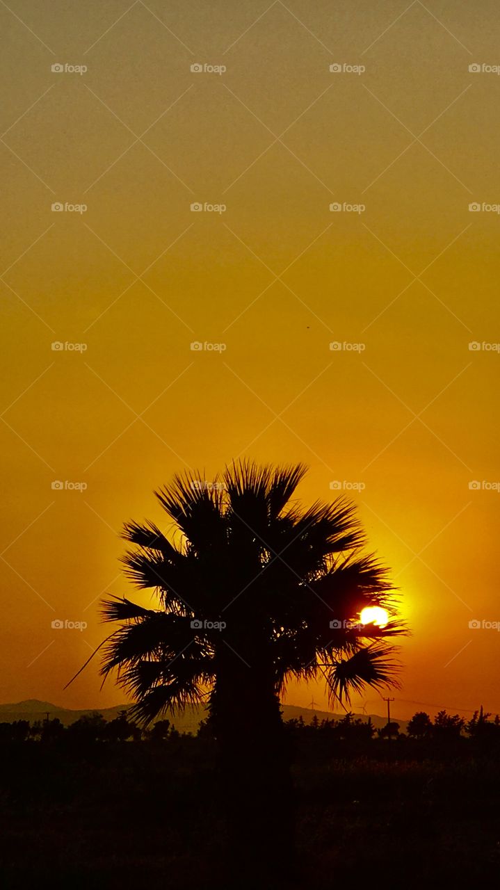 My Magic World Through My Eyes ..!!