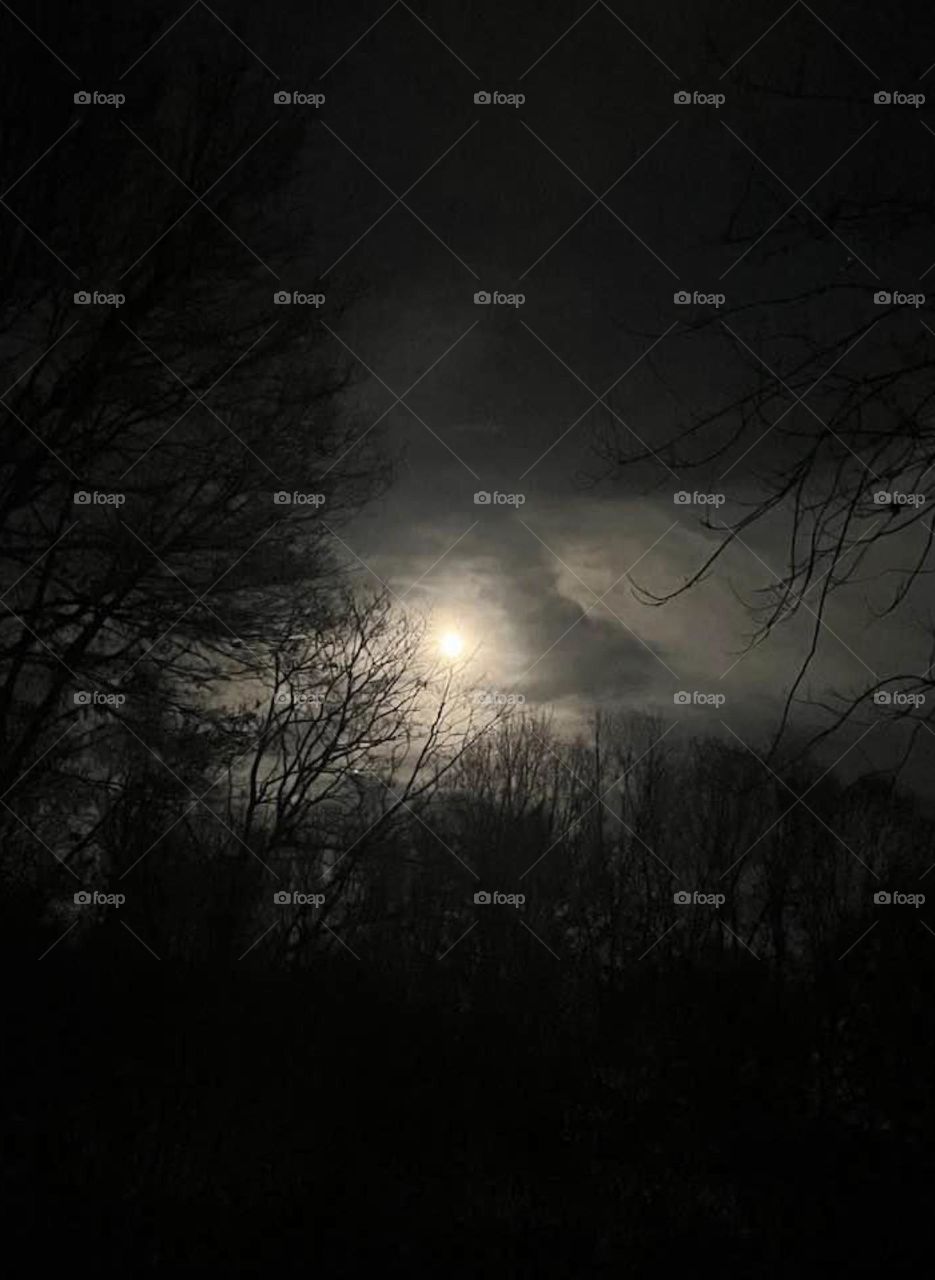 Moon in the night sky