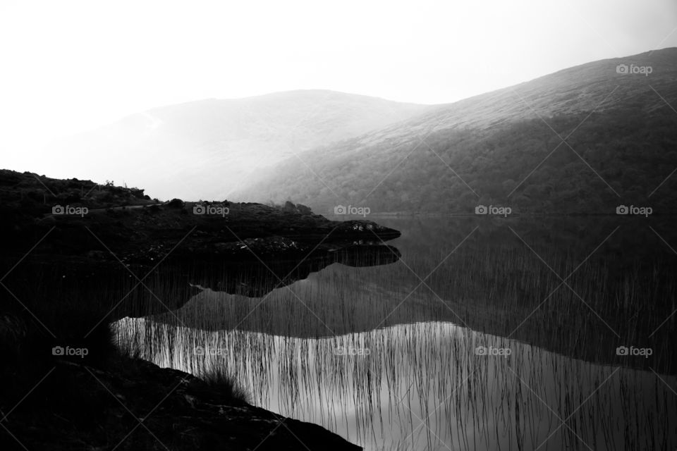 Landscape, Water, No Person, Lake, Fog