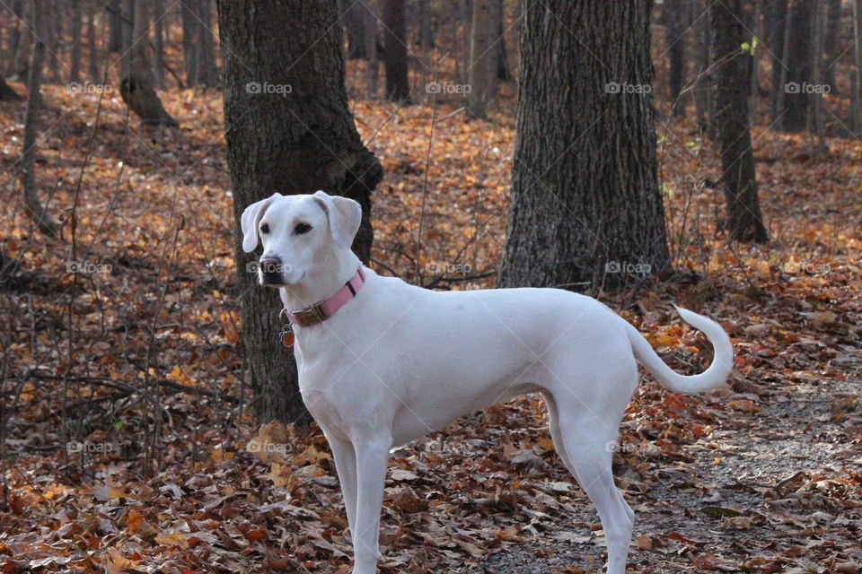 watching and waiting