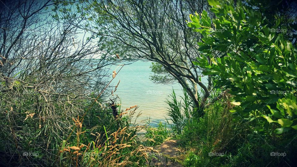 A pathway tempts you out for a closer look at the ocean.