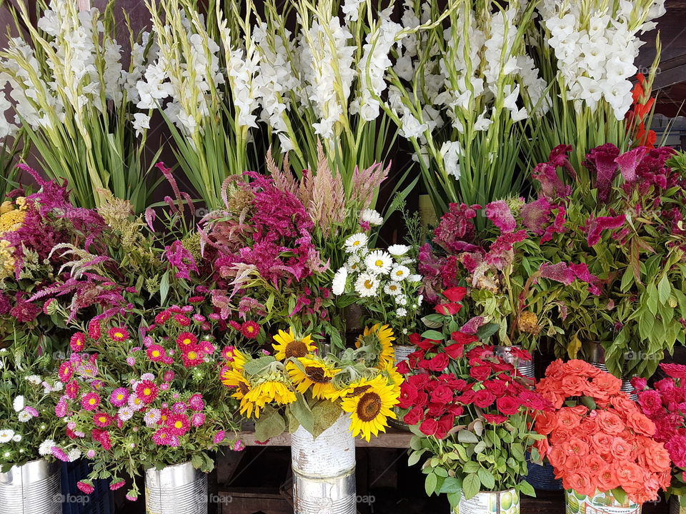 flower rainbow