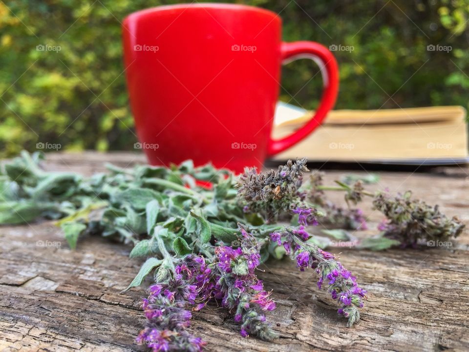 Flower mint on wooden table with red cup of tea and a book in the background