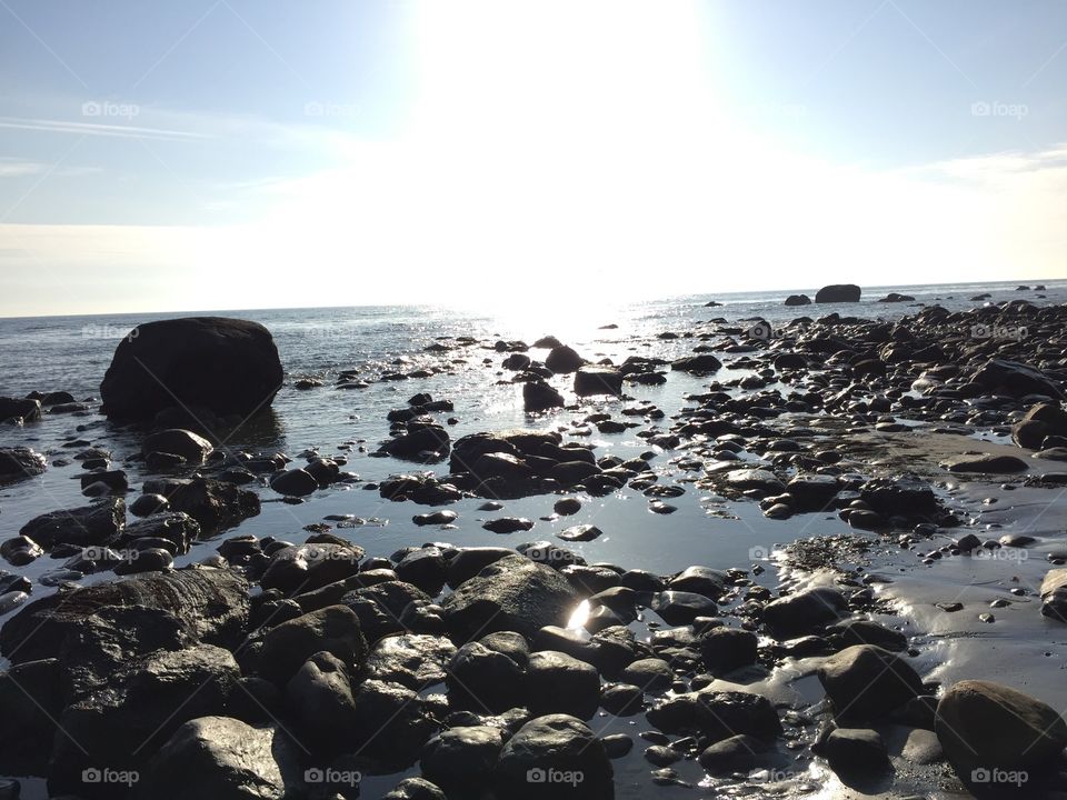 Scenic view of rocky beach