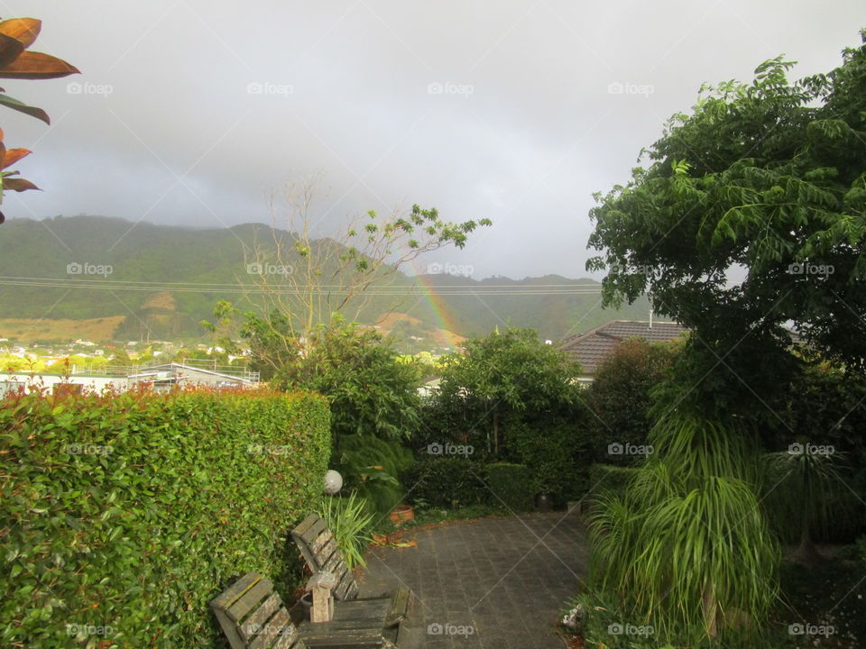 rainbow in our back yard