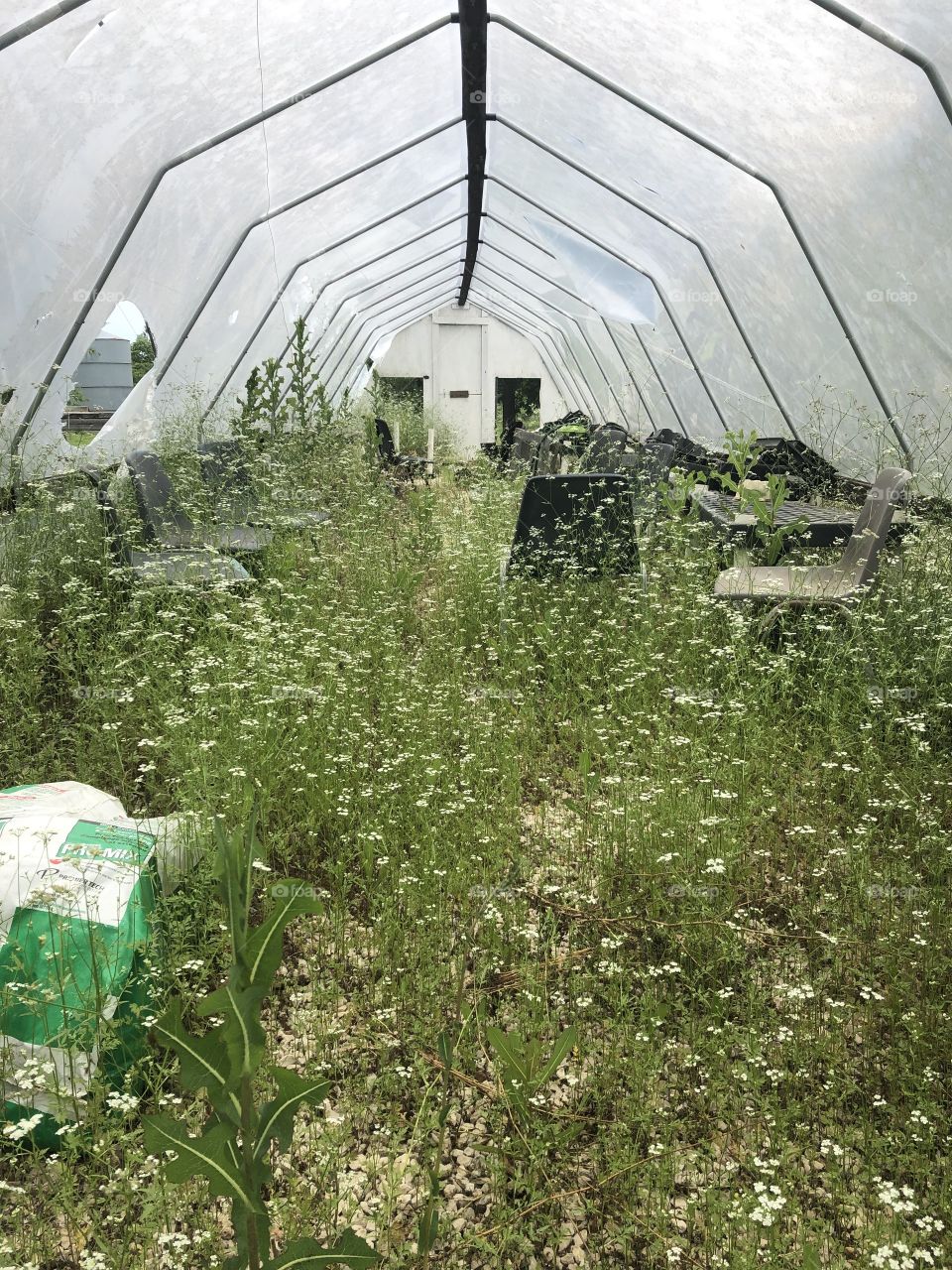 abandon greenhouse
