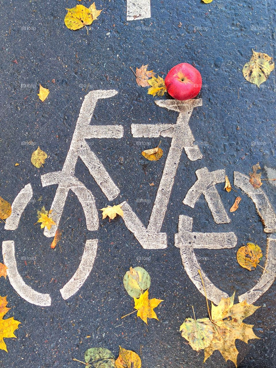 Autumn. There is a white bicycle sign painted on the asphalt. There is a red apple on the cushion of the bicycle. Colorful autumn leaves lie around