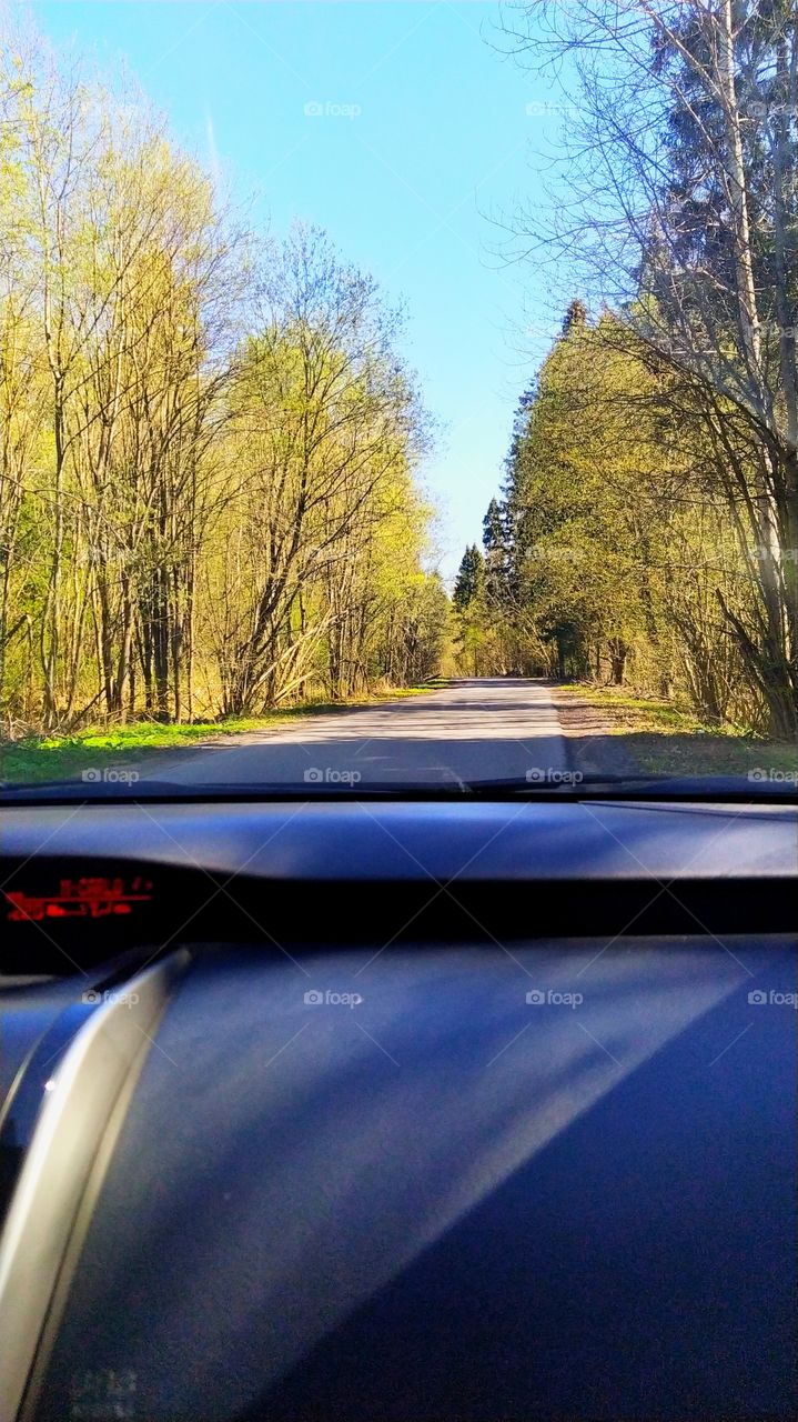 Road out of town.  View from the car.  Road and forest