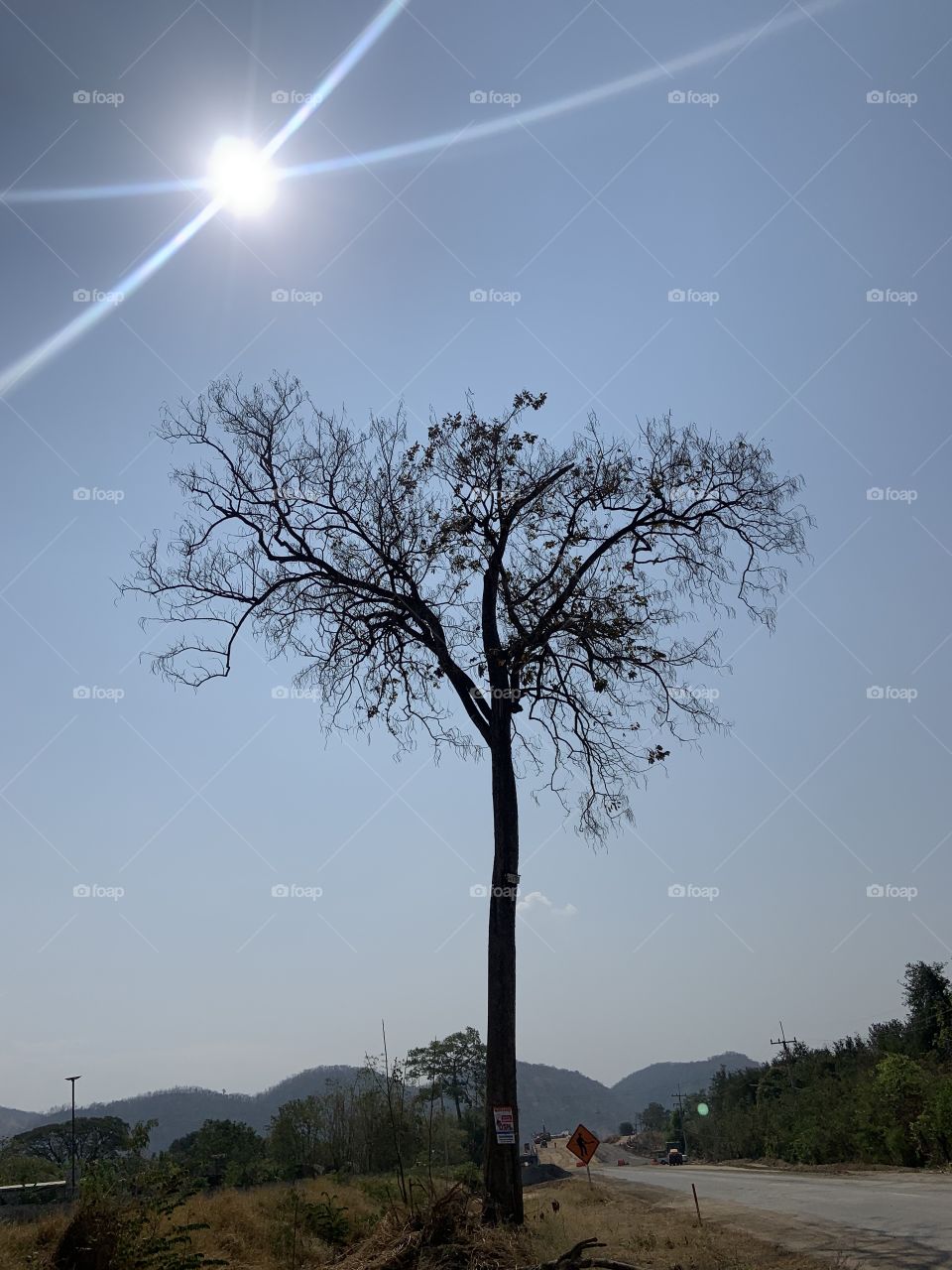 The sings of the Autumn, Countryside ( Thailand)