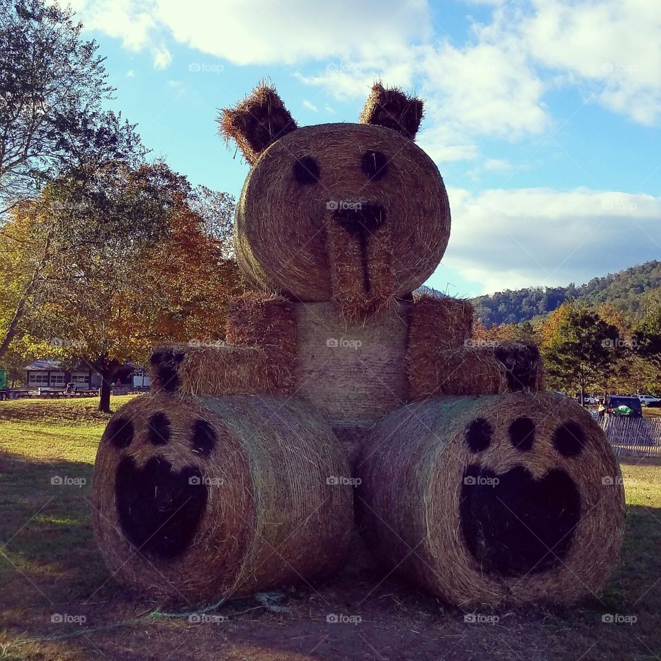 A large "Hay bale" Bear sitting at a fall festival in part of the Virginia Mountains!!