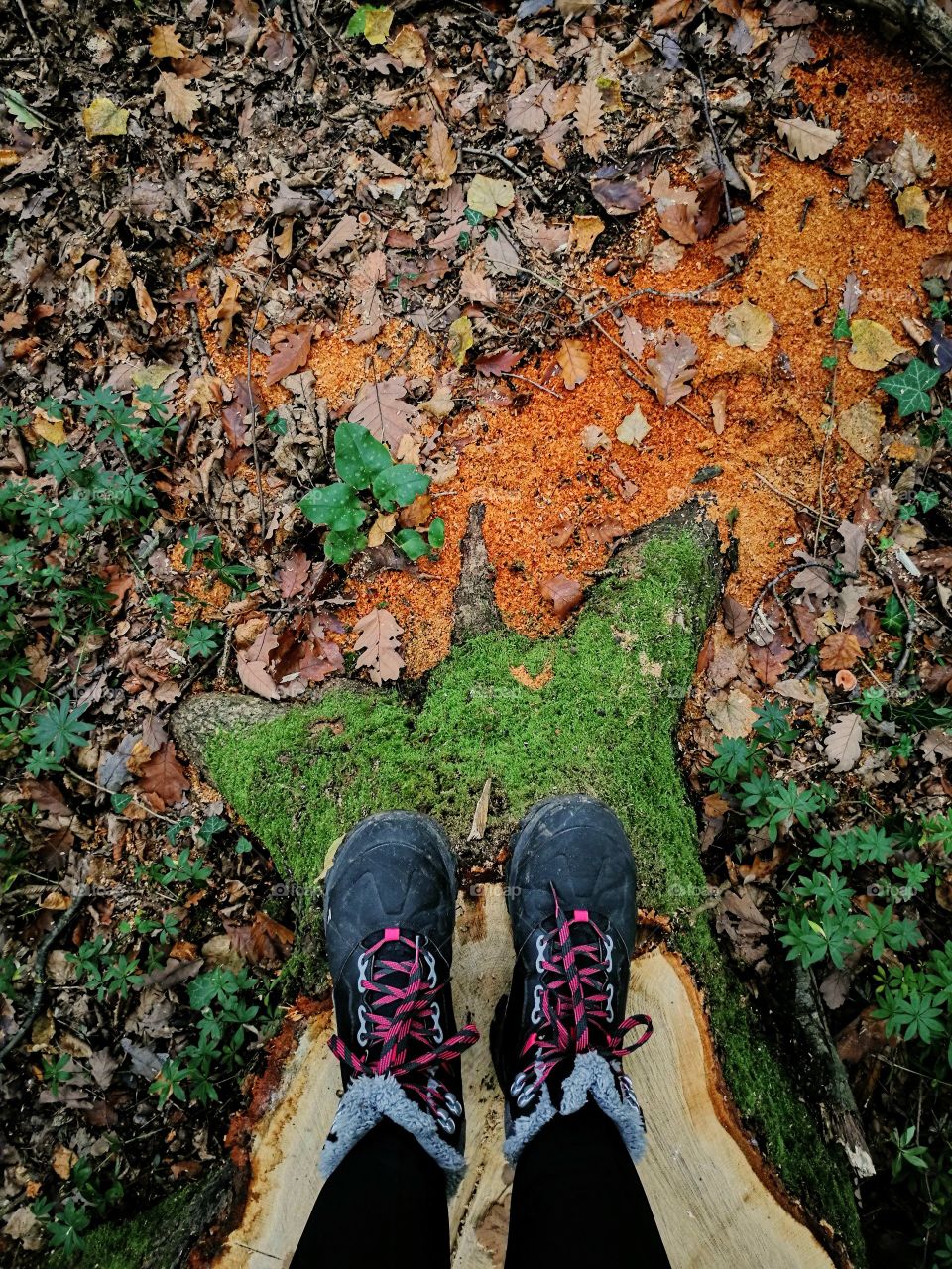 Hiking in autumn forest