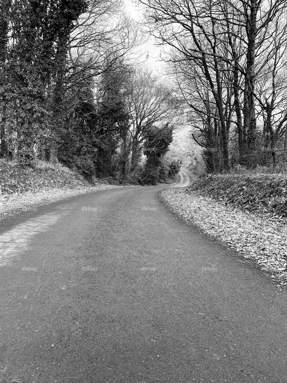 Walking 