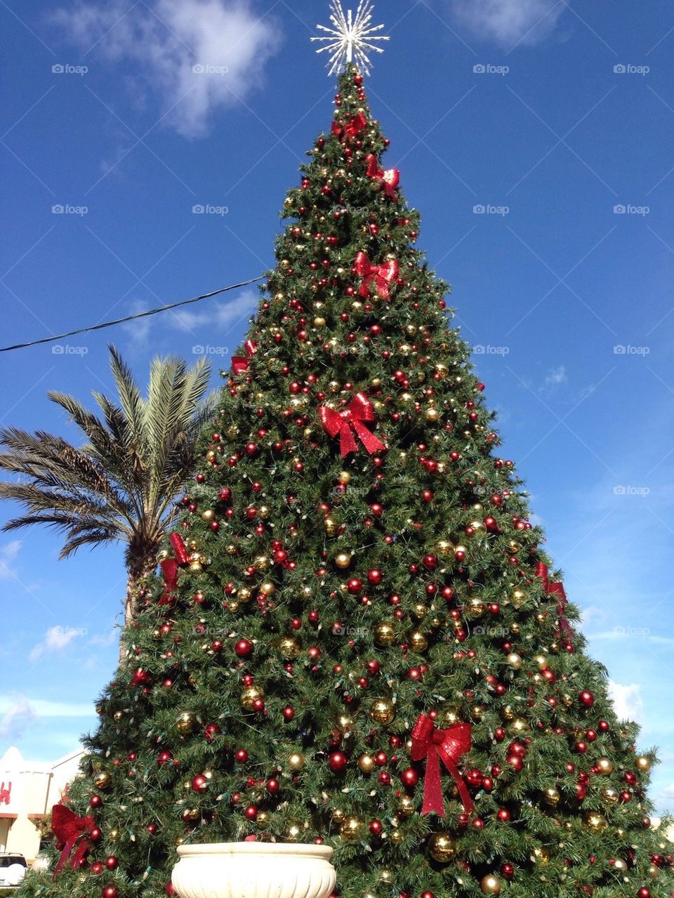 Christmas tree