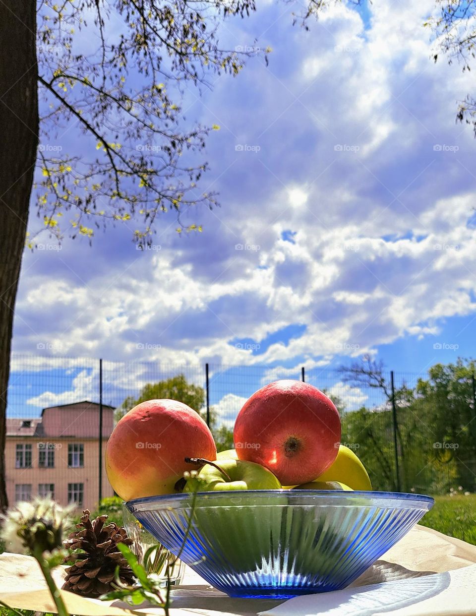 picnic in nature