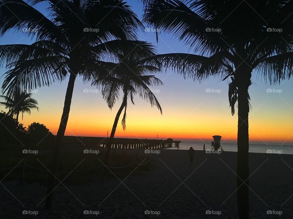 Beach, Tropical, Sand, Sun, Seashore