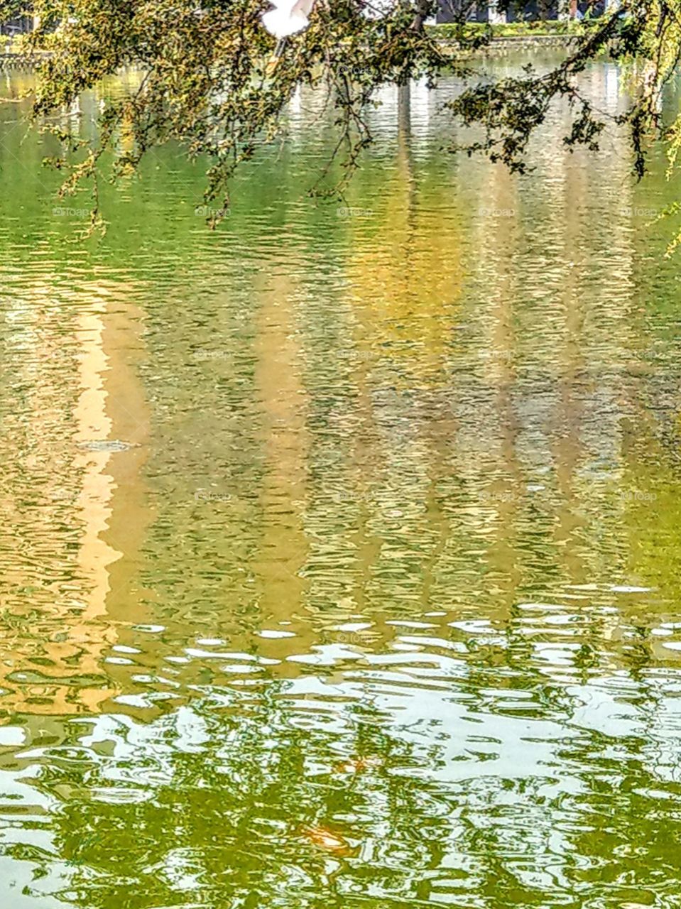 A beautiful scenery of lake water, has a colorful reflection, yellow and green are the color of spring.