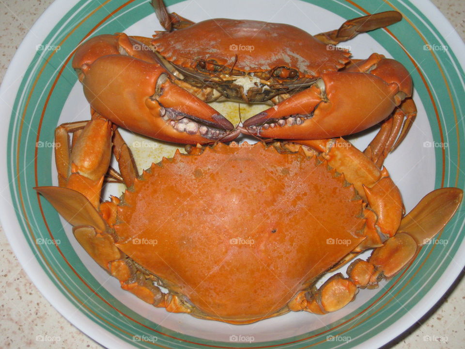 mud crab dinner